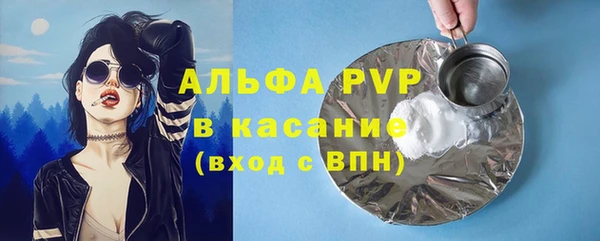винт Пестово