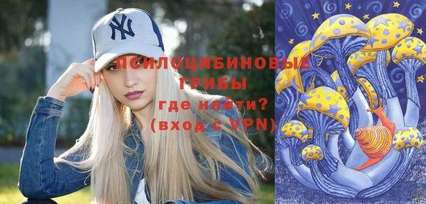молекула духа Переславль-Залесский