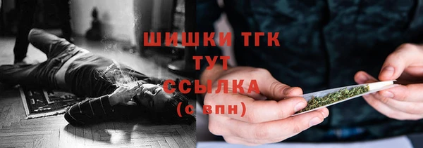 молекула духа Переславль-Залесский