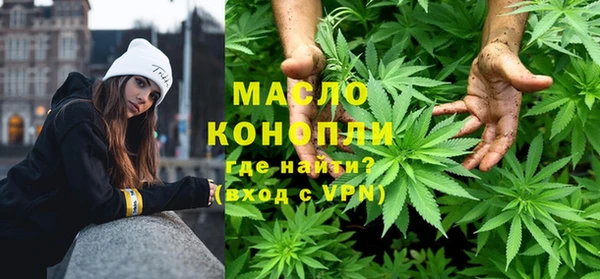молекула духа Переславль-Залесский