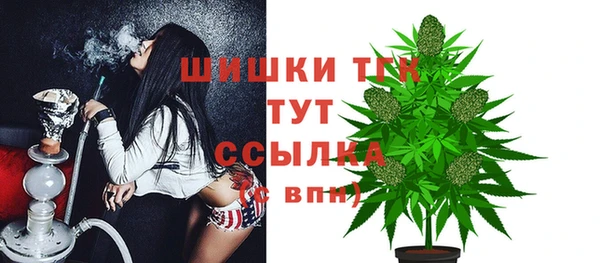 винт Пестово