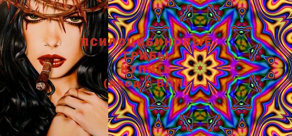 MDMA Пересвет
