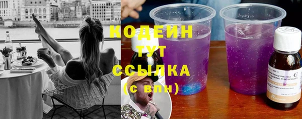 молекула духа Переславль-Залесский