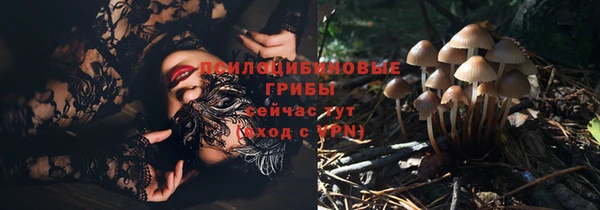 молекула духа Переславль-Залесский