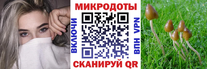 Псилоцибиновые грибы GOLDEN TEACHER  как найти   Ардон 